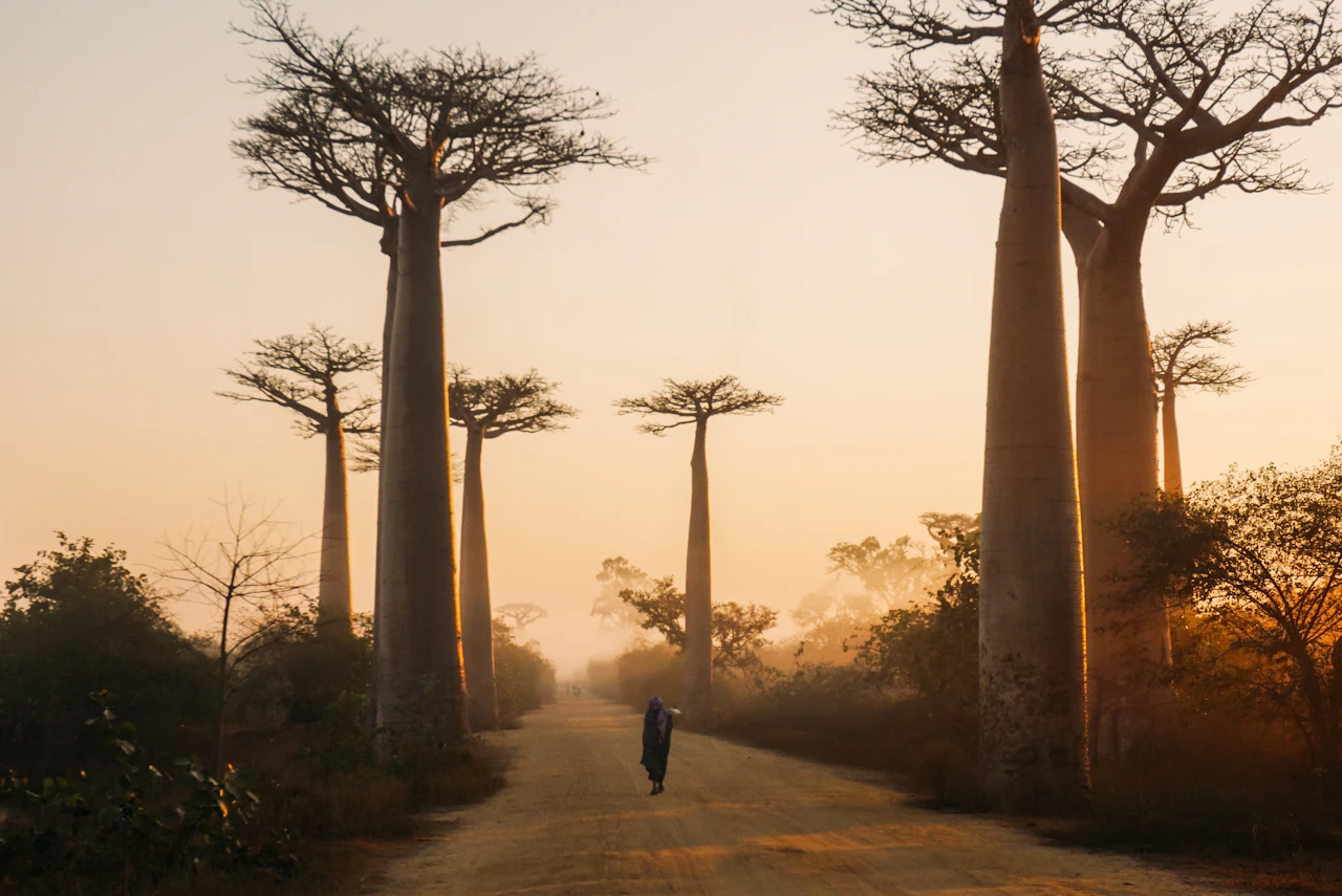 Morondava, Madagaskar