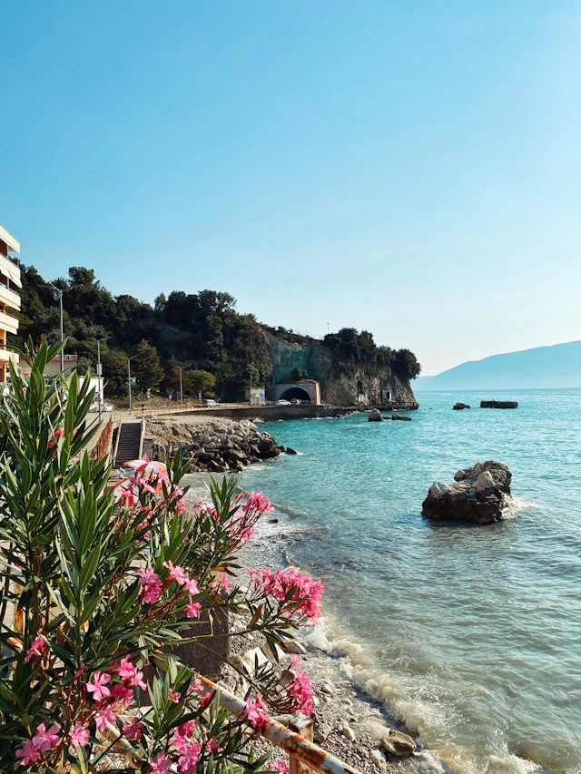 Kurbnesh, Albania