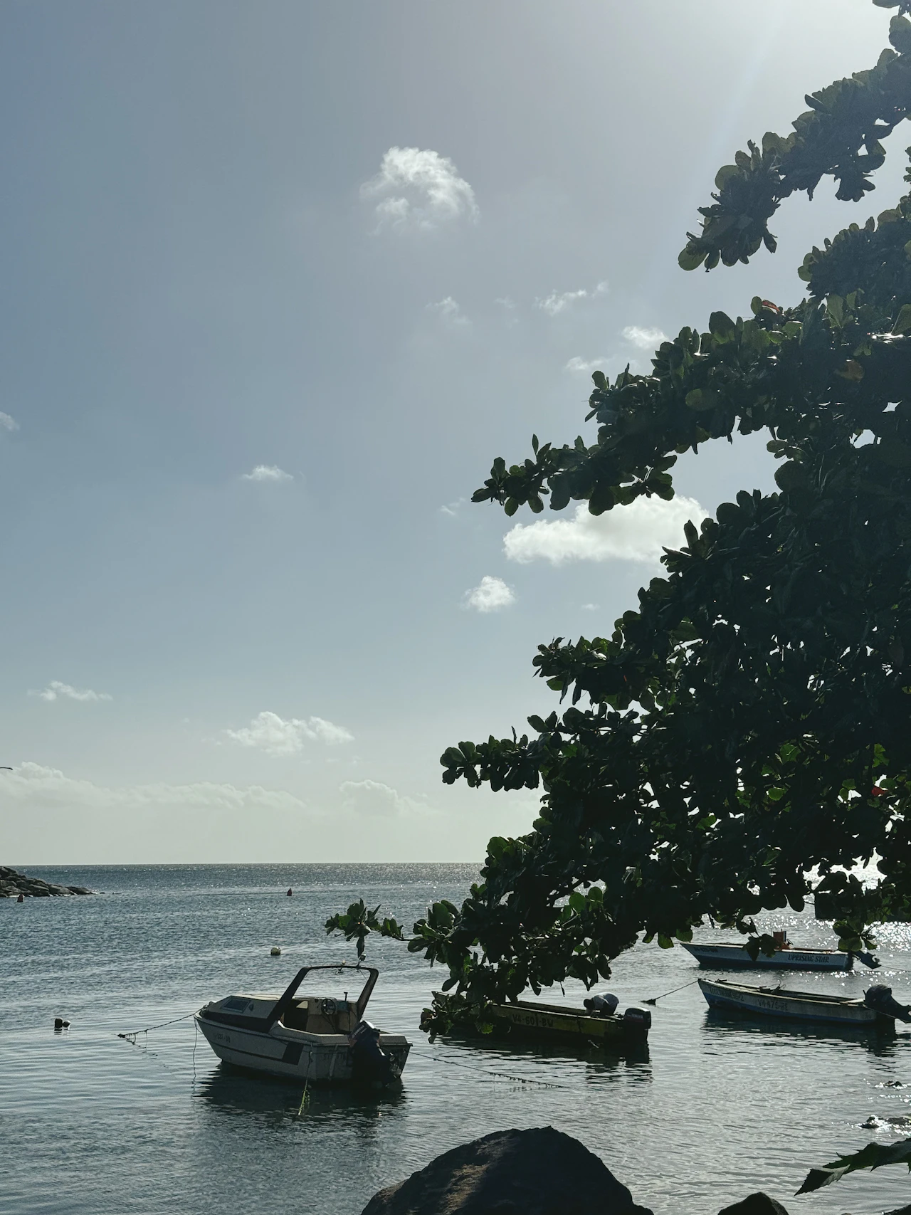Guess Places in Saint Kitts And Nevis