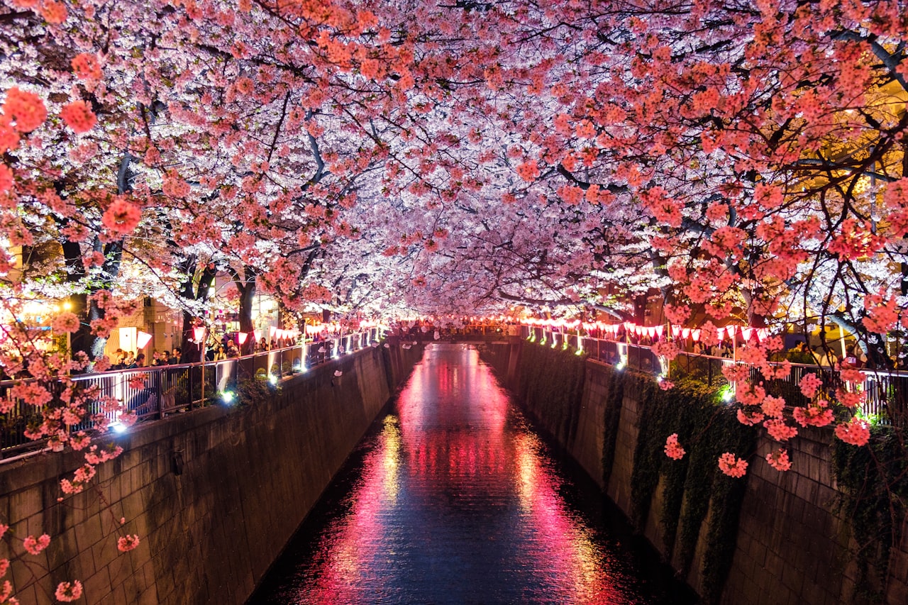 Foto della sfida giornaliera da Meguro-ku, Giappone