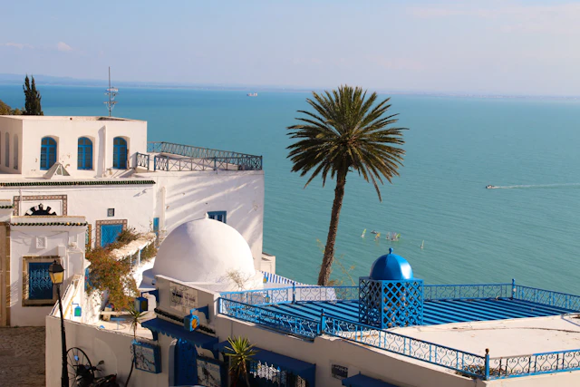 Carthage，突尼斯
