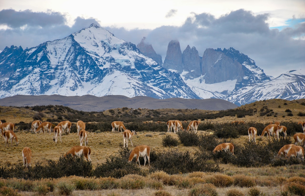 Foto della sfida giornaliera da Torres del Paine, Cile