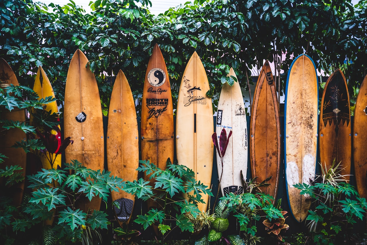 Foto des Tagesrätsels aus Kauai, Vereinigte Staaten von Amerika