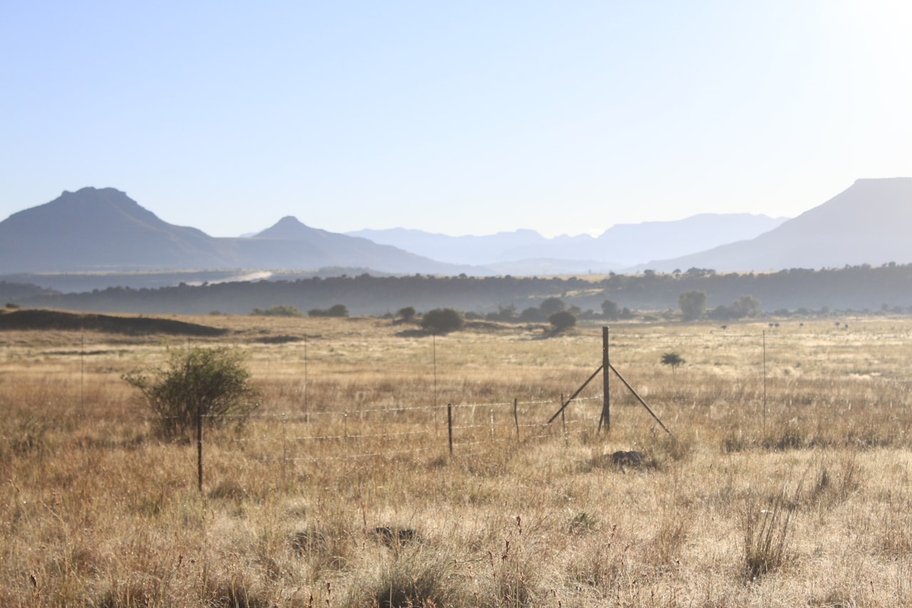 Foto della sfida giornaliera da Zastron, Sud Africa