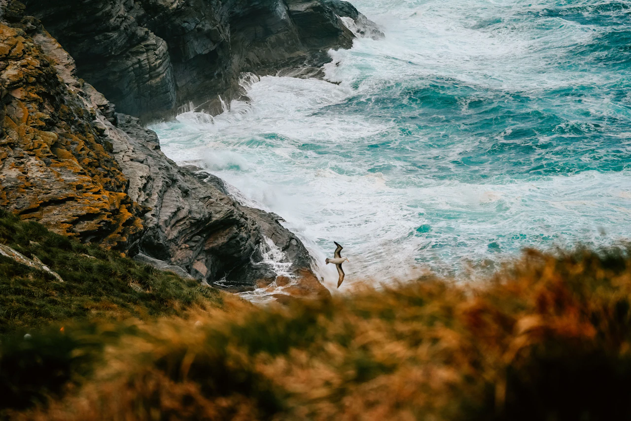 Port Howard, Islas Malvinas