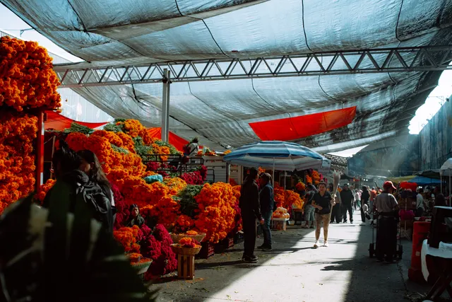 Mexico City, メキシコ