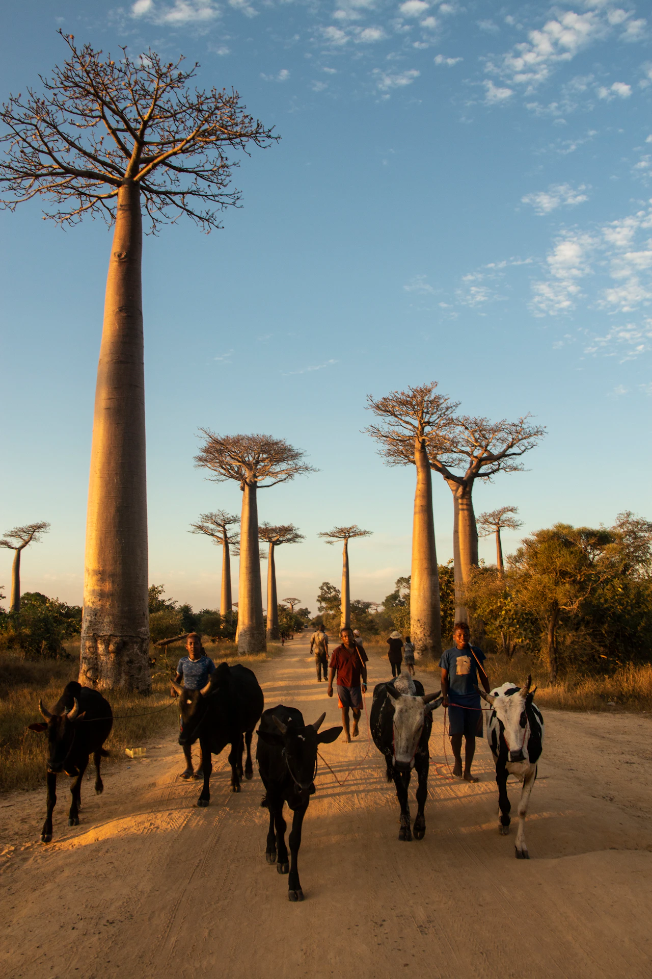 Devinez des lieux en Madagascar