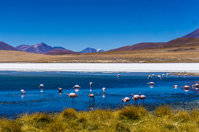Uyuni, Bolivia