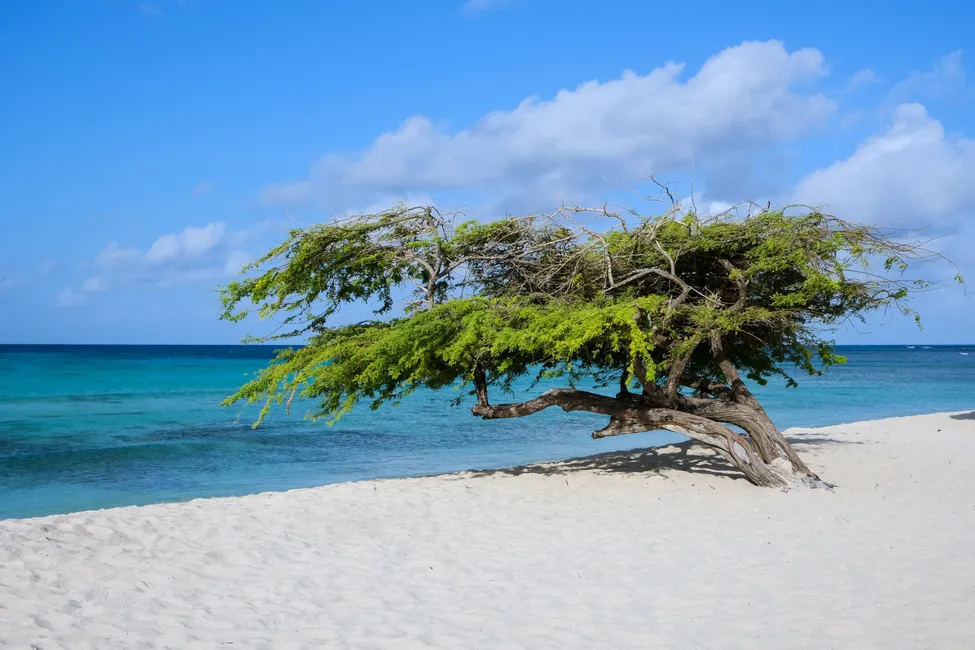 Errate Orte in Aruba