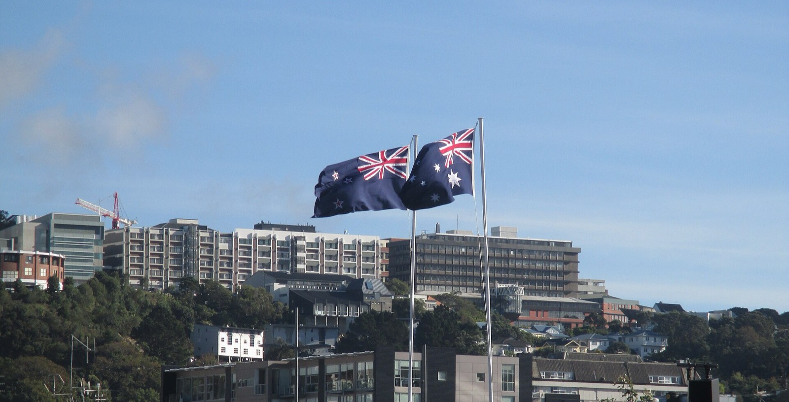 Die Flaggen Neuseelands und Australiens wehen nebeneinander an zwei Masten über Gebäuden in Wellington