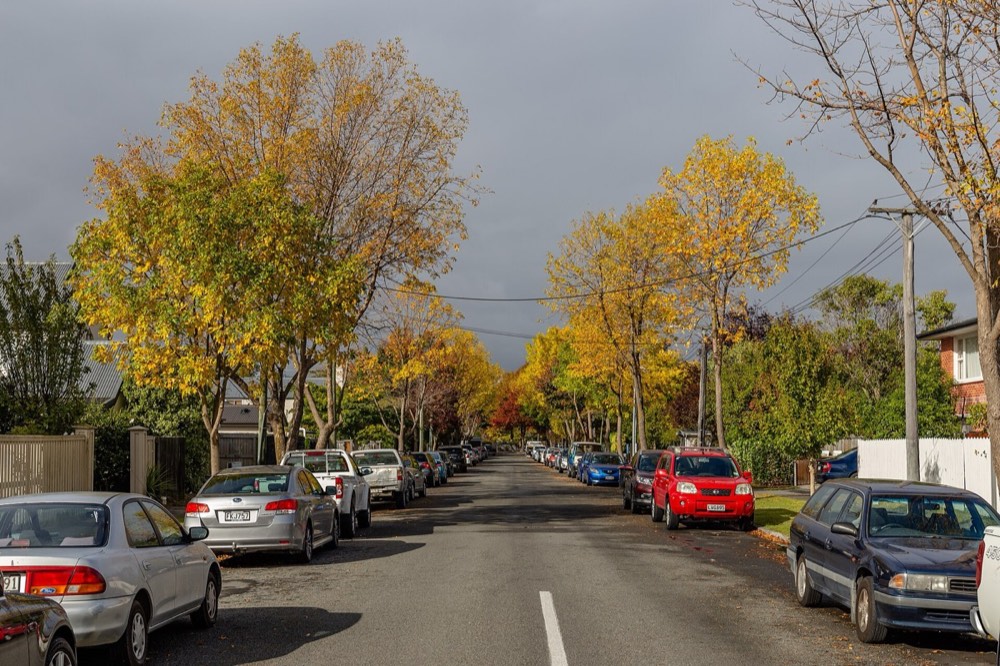 A suburban street with cars parked along both kerbs under autumn trees