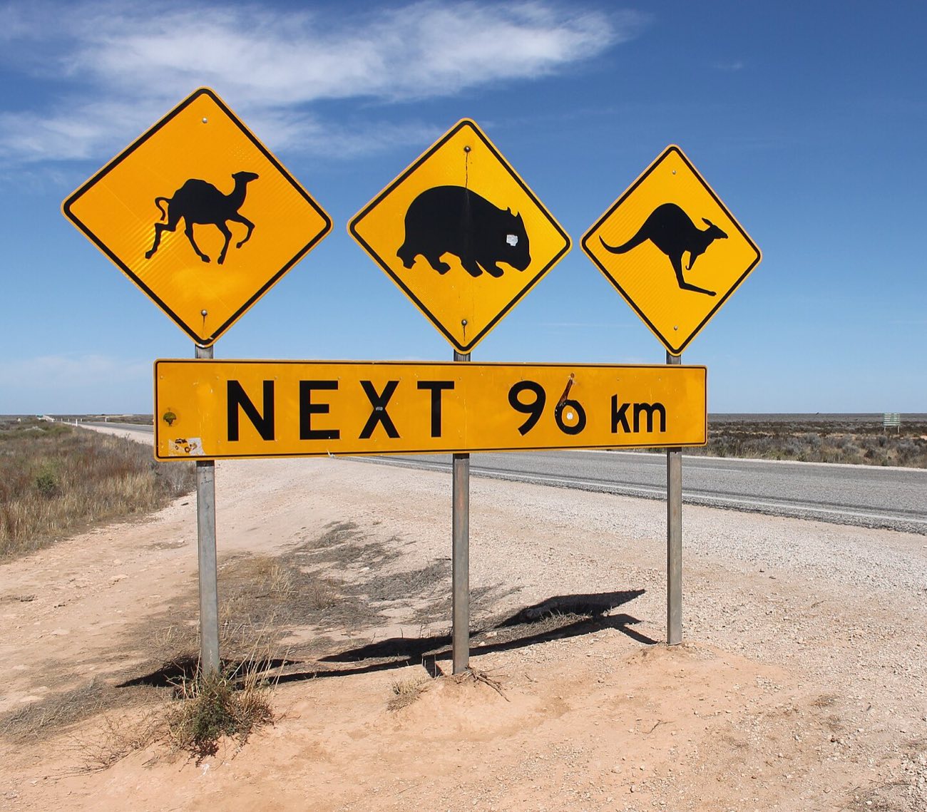Rombi gialli con un cammello, un vombato e un canguro sopra un pannello NEXT 96 km, lungo una strada nel deserto
