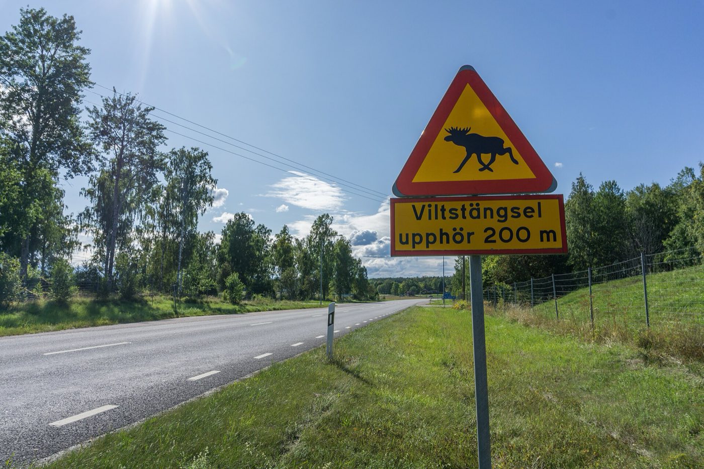 Triangolo giallo bordato di rosso con un alce sopra un pannello Viltstängsel upphör 200 m, lungo una strada svedese