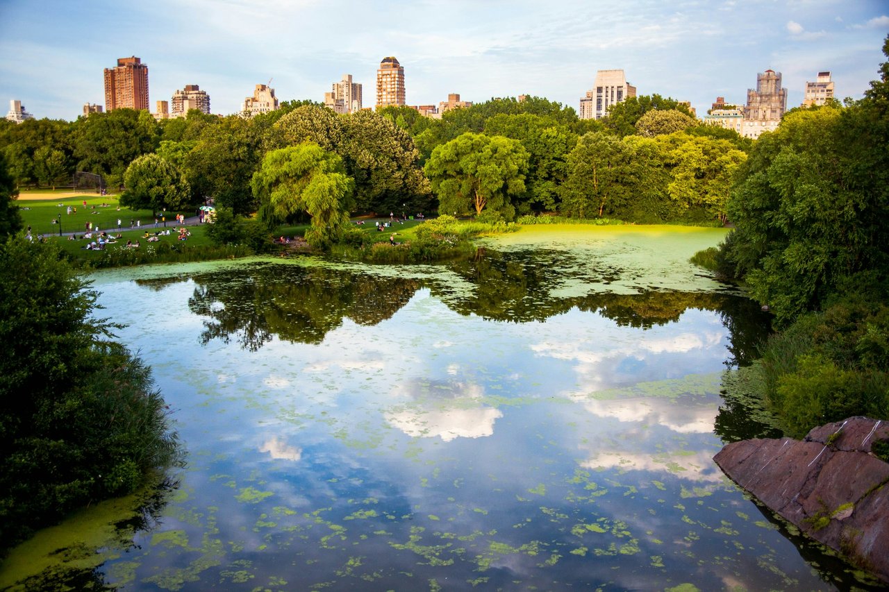 Foto della sfida giornaliera da New York City, Stati Uniti D'America