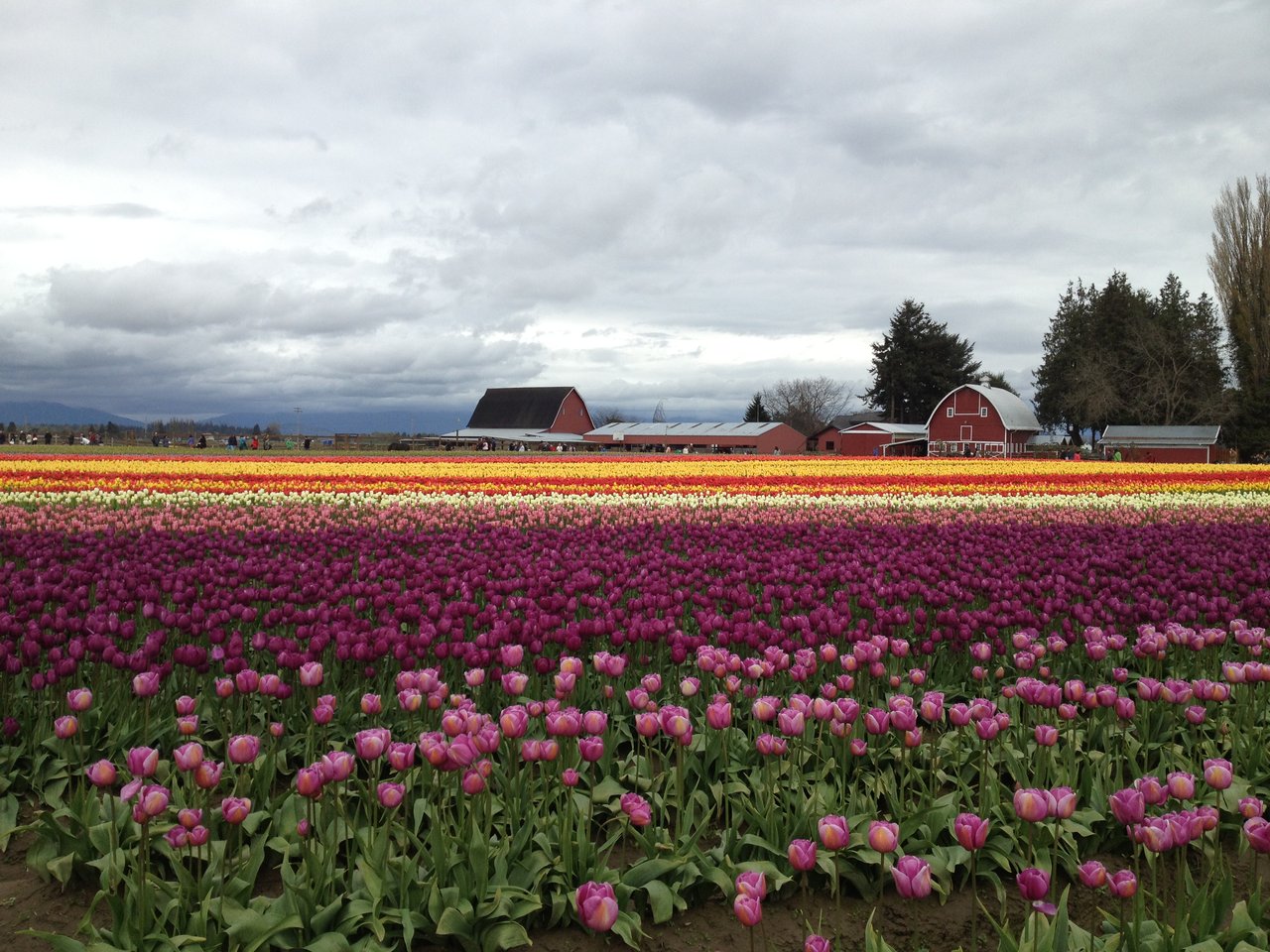 Mount Vernon, United States
