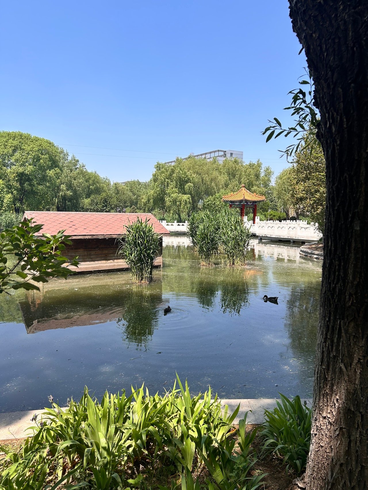 Foto des Tagesrätsels aus Beijing, China