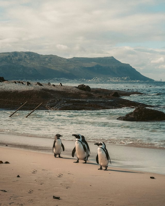 Cape Town, South Africa