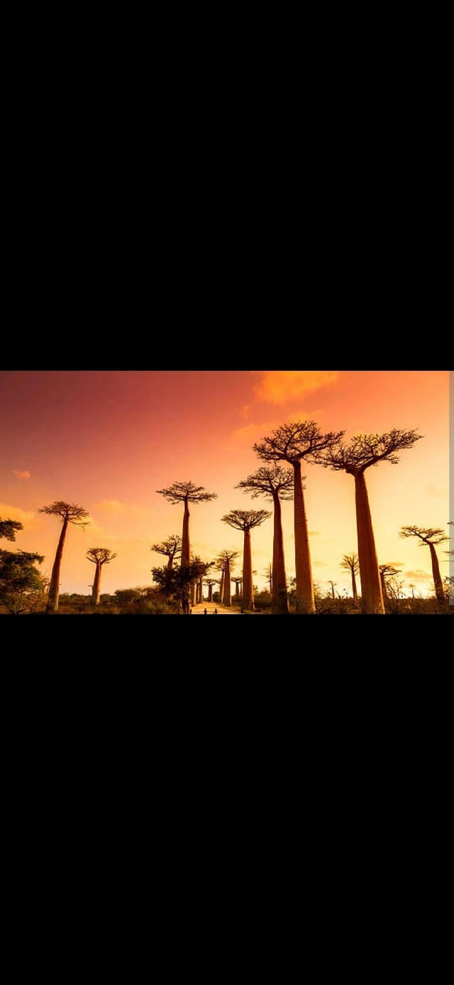 Morondava, Madagaskar