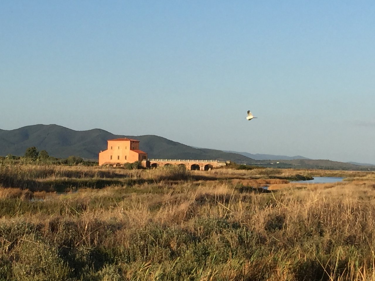 Foto des Tagesrätsels aus Grosseto, Italien