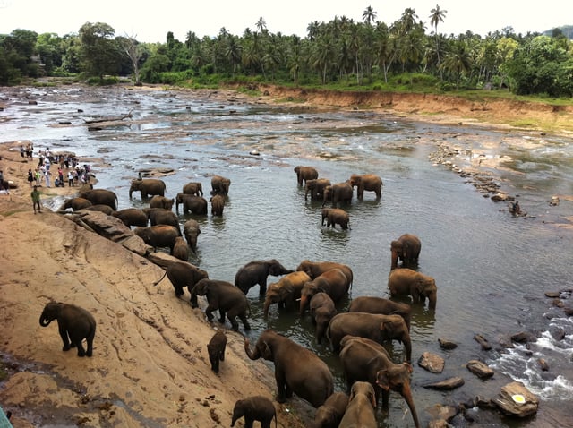Gampaha, Sri Lanka
