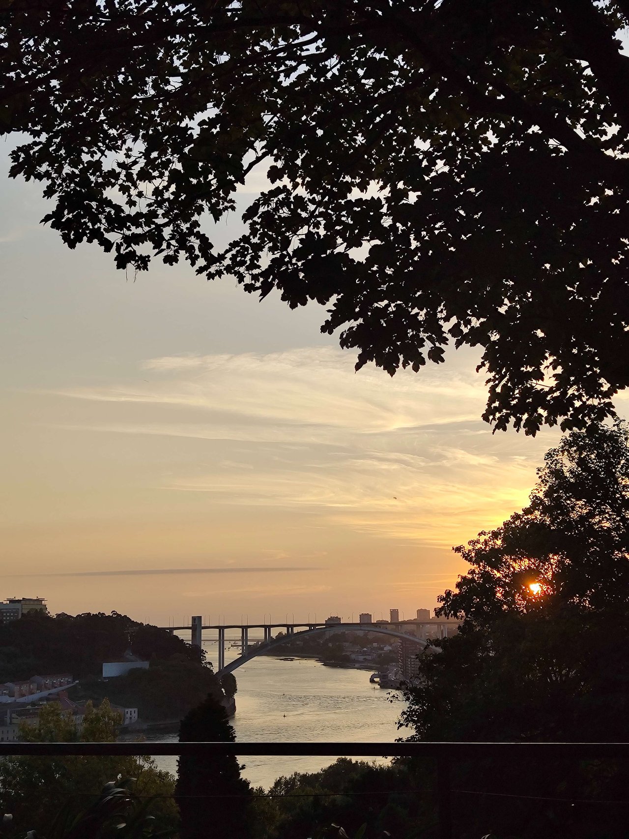 Foto della sfida giornaliera da Porto, Brasile