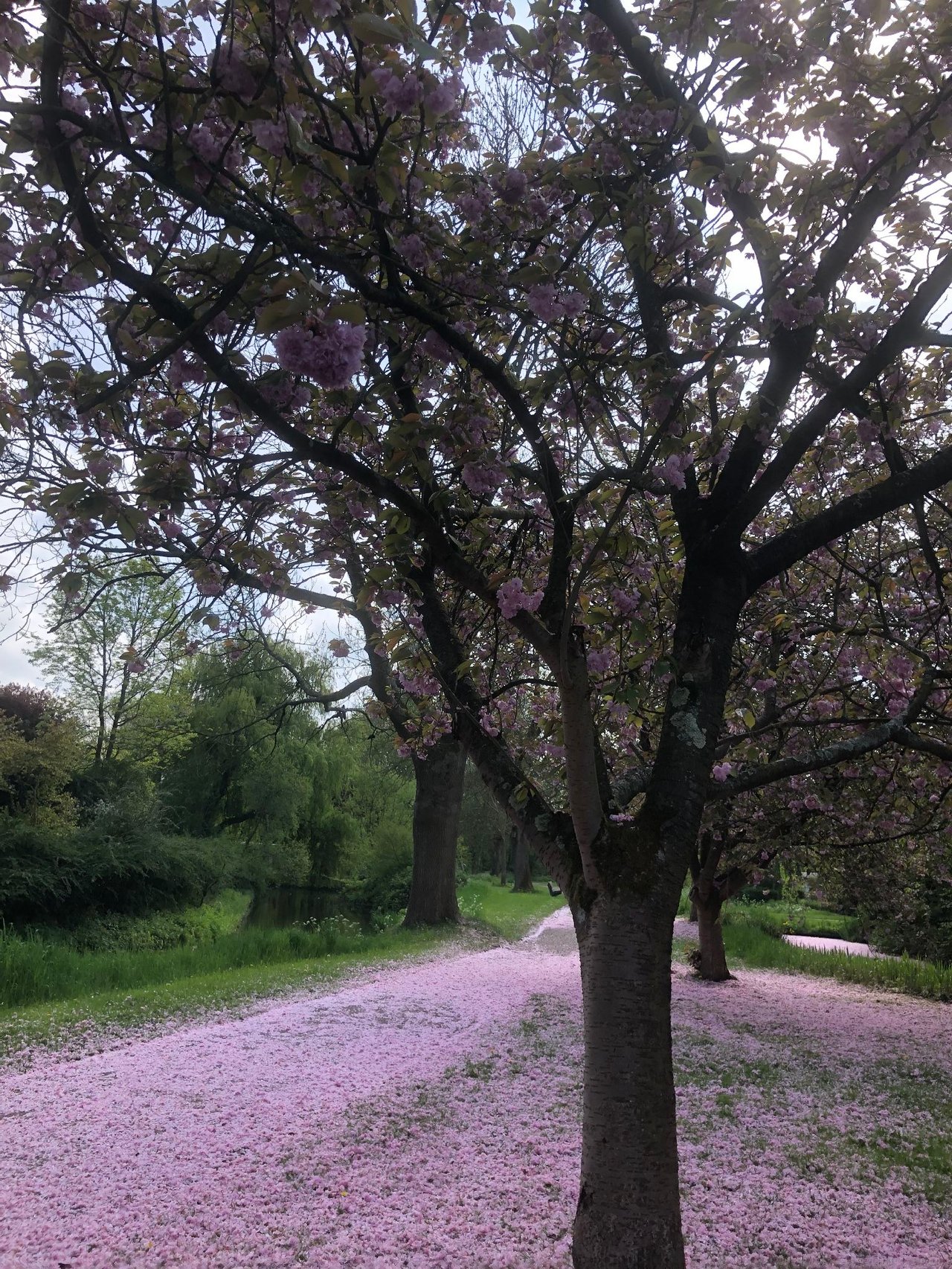 Errate Orte in Niederlande