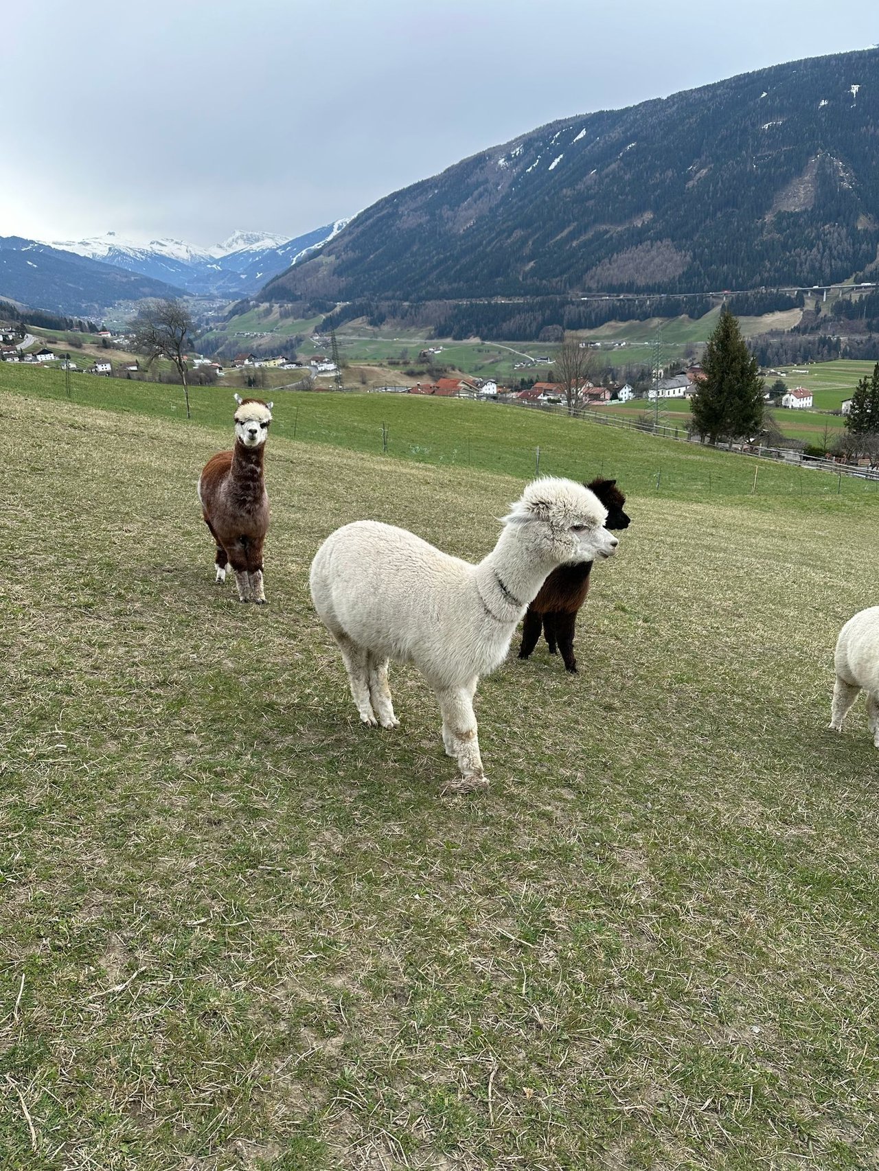 Indovina i luoghi in Austria