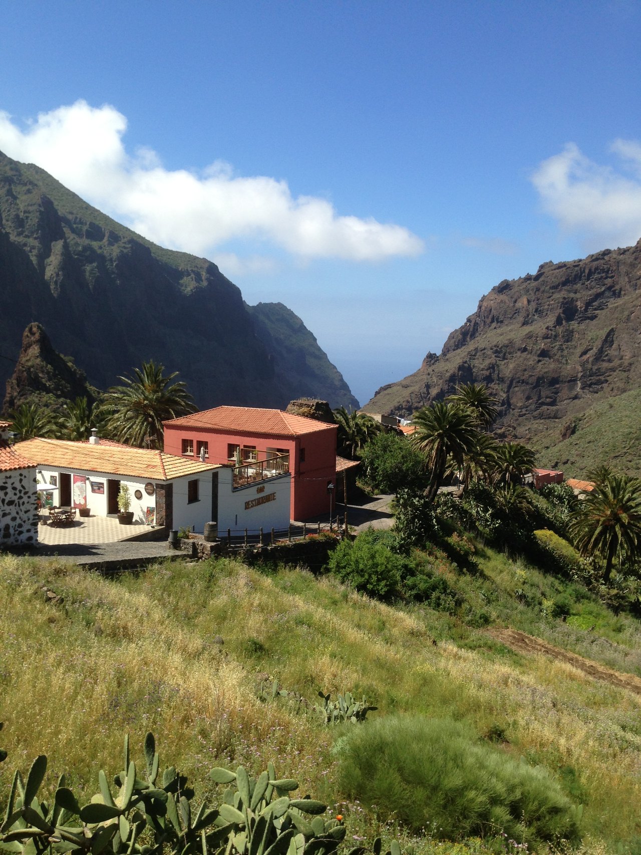 Foto della sfida giornaliera da Santa Cruz de Tenerife, Spagna
