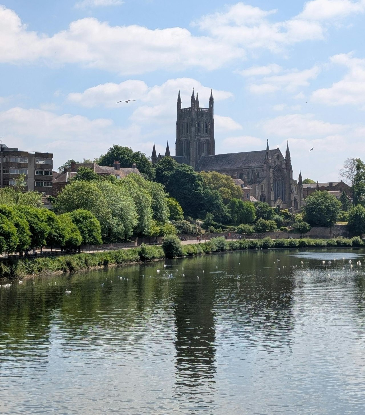 Daily challenge photo from Worcester, United Kingdom