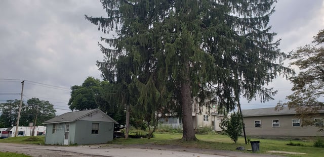 Wadsworth, アメリカ合衆国